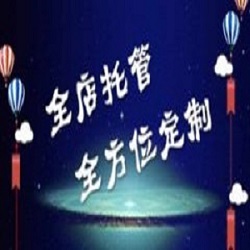 阿里巴巴代運(yùn)營(yíng)