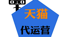 天貓代運營服務(wù)-為產(chǎn)品代言，就找豆丁褒