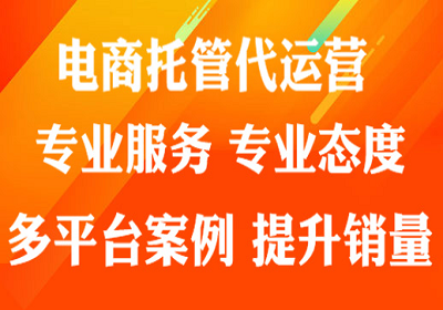 電商代運(yùn)營(yíng)